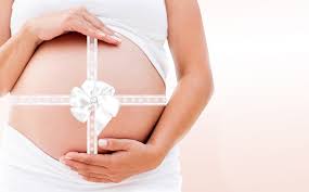 grossesse fertilité